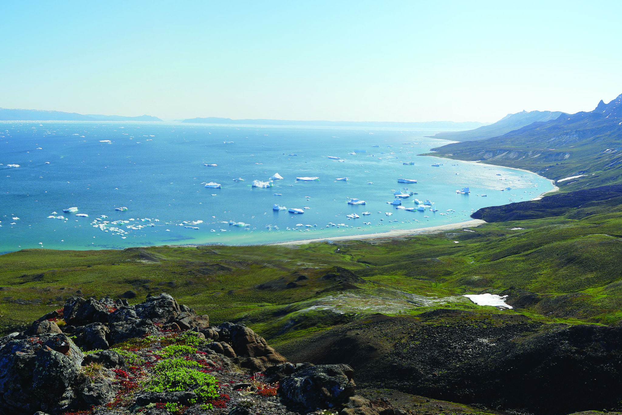 Read more about the article Bluejay Mining udvikler mineprojekter i Grønland