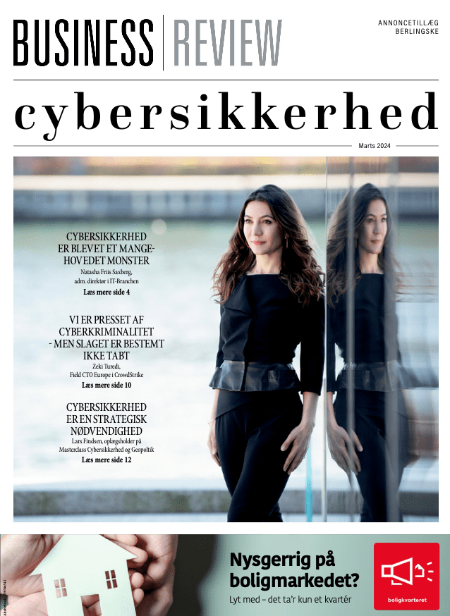 Read more about the article Cybersikkerhed Epaper