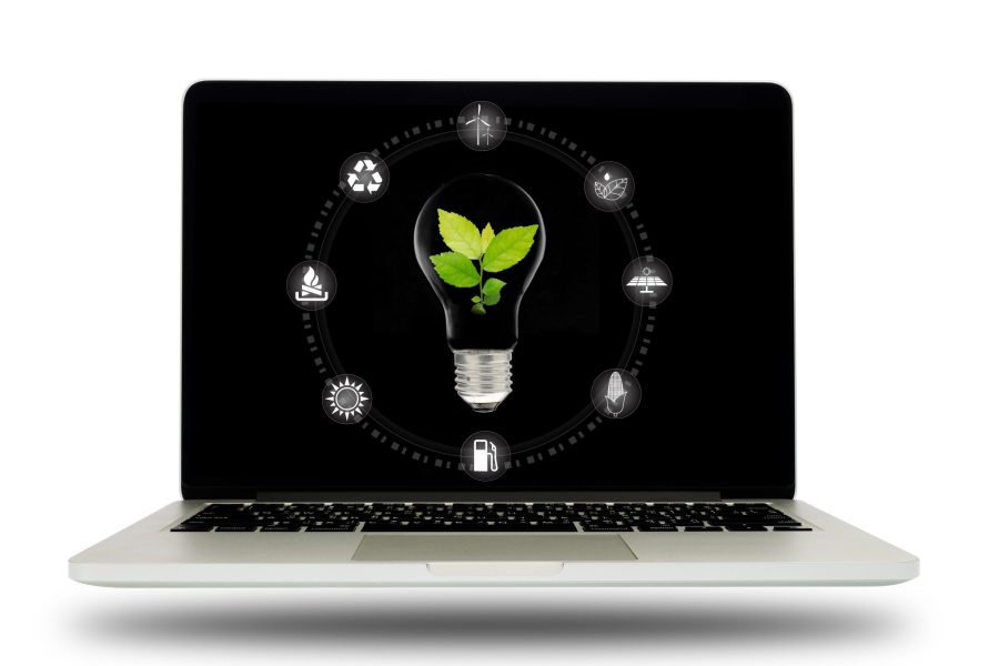 Computer laptop and plant growing inside light bulb with icon on